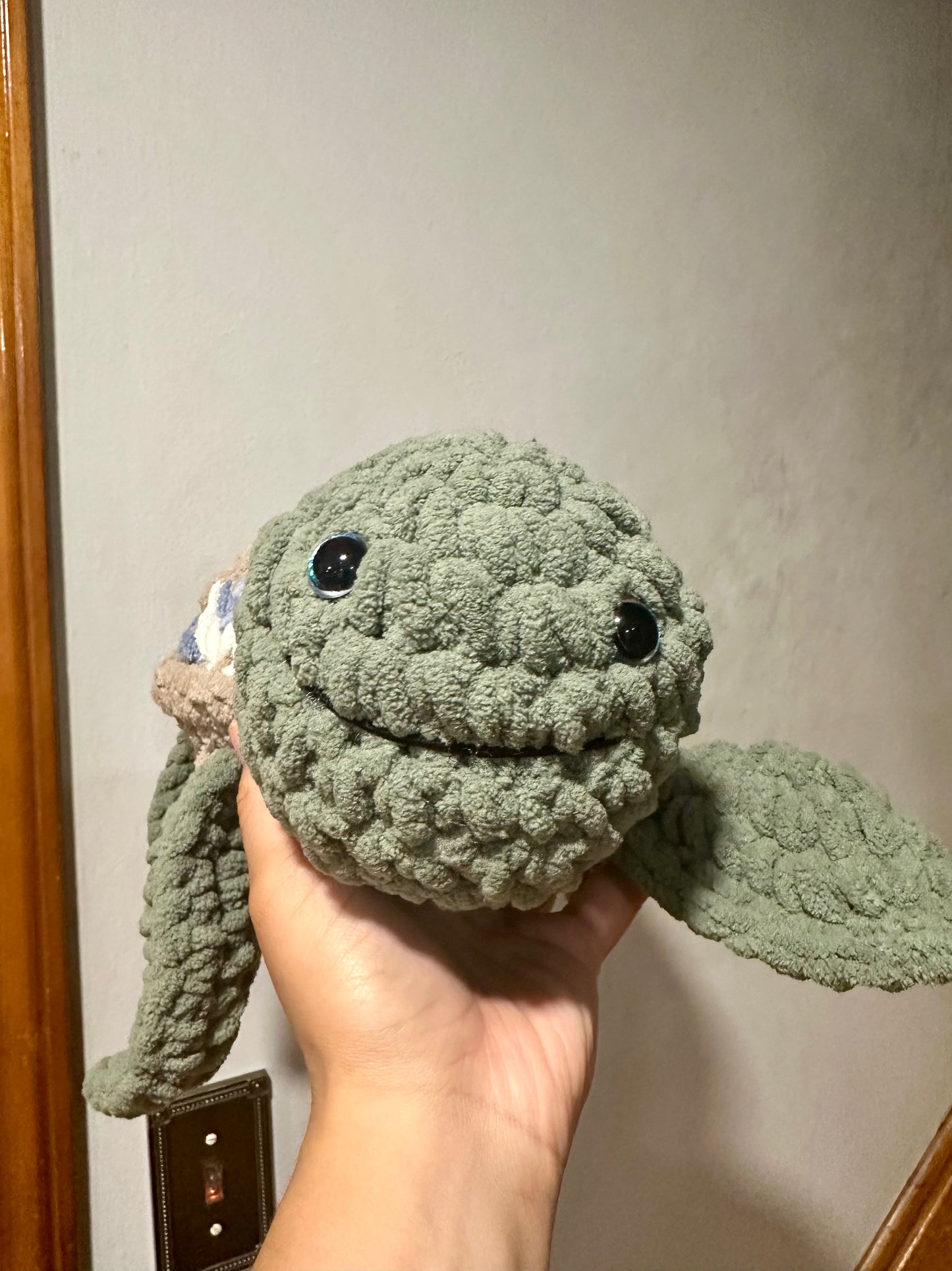 Tim the Turtle